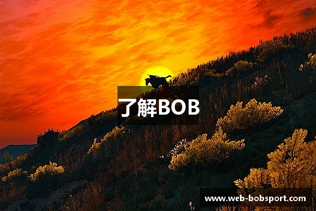 了解BOB